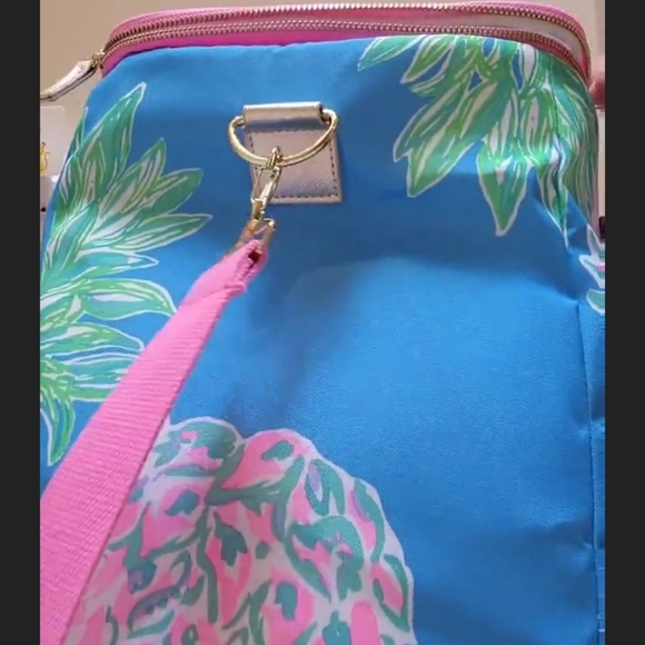 LILLY PULITZER insuleted wine carrier,  cooler, picnic,  beach tote colorful pin - Picture 13 of 13